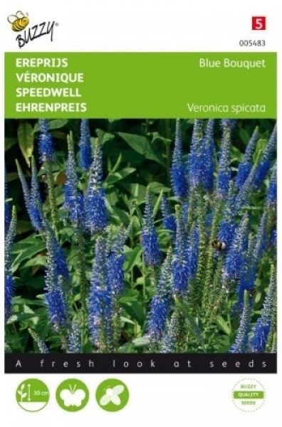 005483 veronika modra_500x500